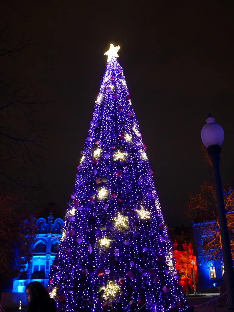 Árbol de Navidad iluminado de noche delante de edificios modernistas
